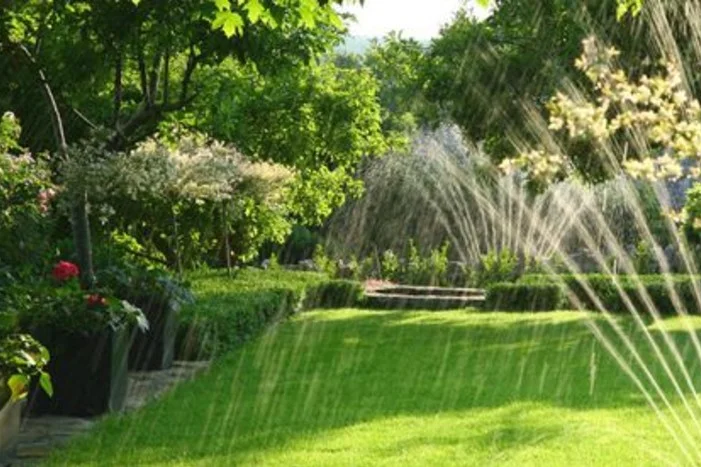 Ein Rasensprenger bewässert einen grünen Rasen.